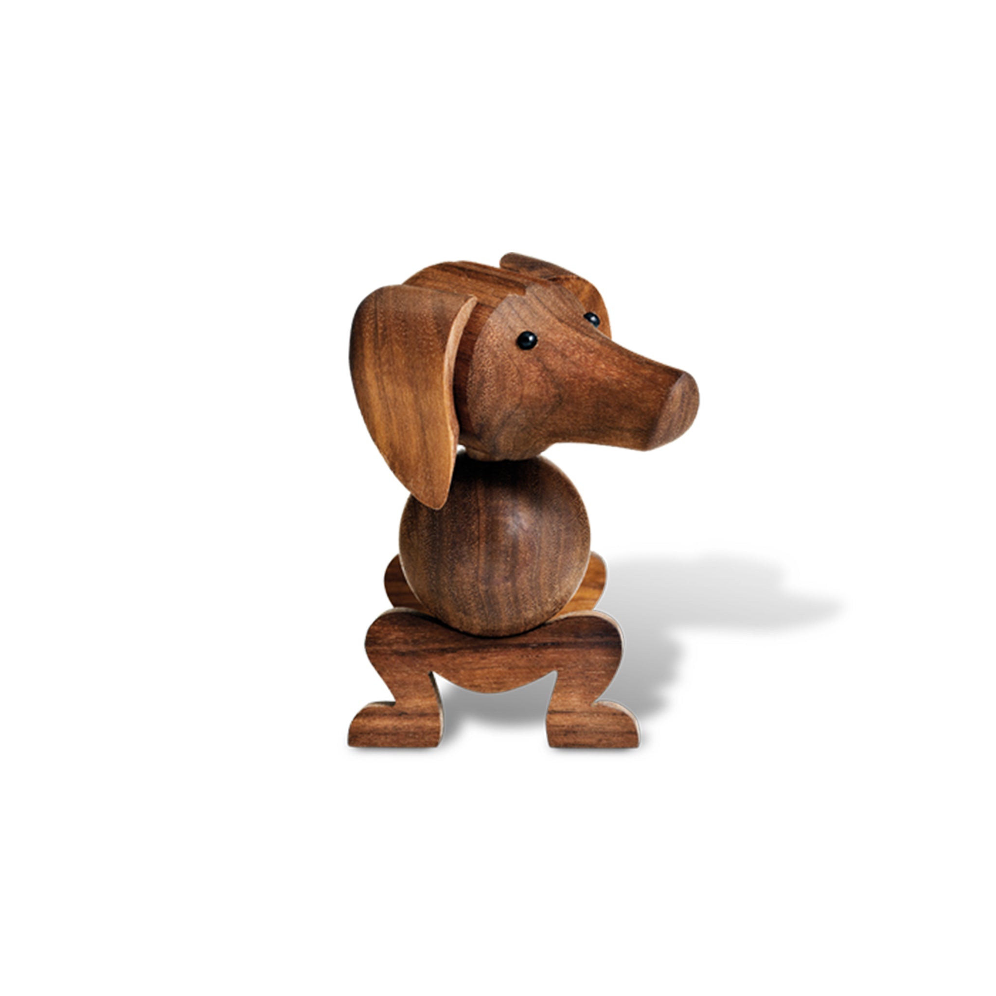 Dachshund Dog